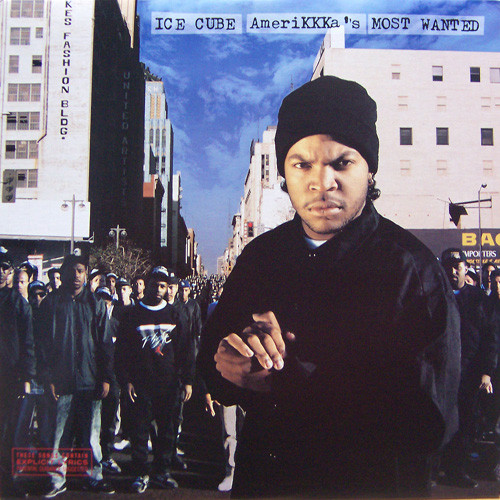 Ice Cube: AmeriKKKa's Most Wanted (1990)